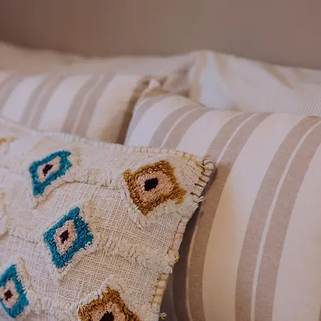 La Mimosa Tatil Evi El Espinar