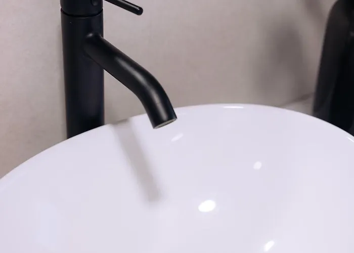 La Mimosa 엘에스피나르