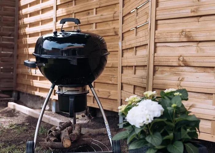 La Mimosa * 엘에스피나르